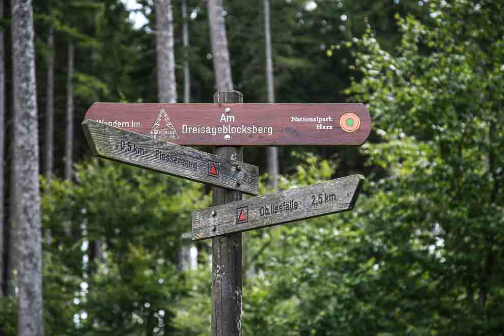 harz-abenteuer-wandern-braunlage-2