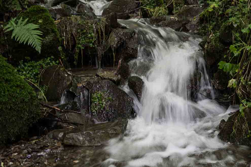 harz-abenteuer-wandern-braunlage-3